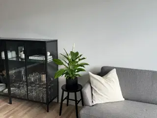 3-4 personers sofa med chaiselong 