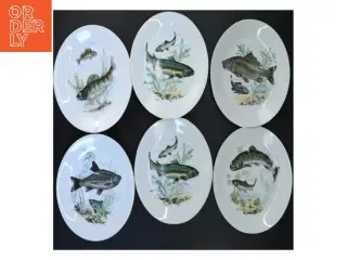 Tallerkener med fiskemotiv (str. Ø 19 cm)