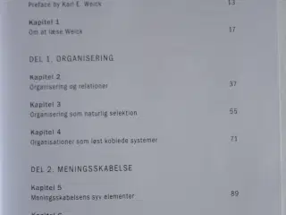 Meningsskabelse, organisering og ledelse  :