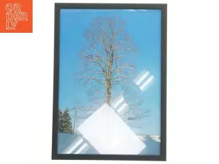 Indrammet billede af vintertræ (str. 29,8x42 cm)