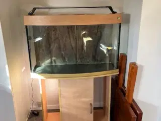 Akvarie 250 liter
