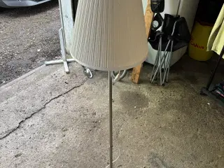 Stander lampe