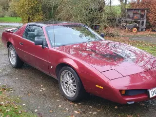 Pontiac Trans Am Firebird