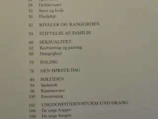 hesteliv, af beatrice michel. foto af lida jahn-mi