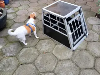 Hundebur