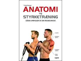 Anatomi og Styrketræning