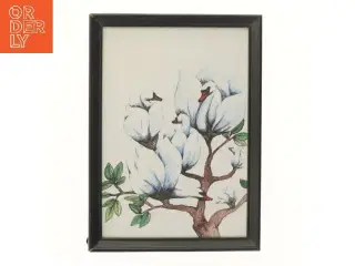 Indrammet billede af svaner (str. 32,5x23,5 cm)