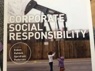 Corporate Political Responsibility af Espen Rahbek