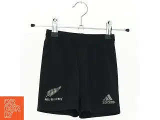 Shorts fra Adidas (str. 74 cm)
