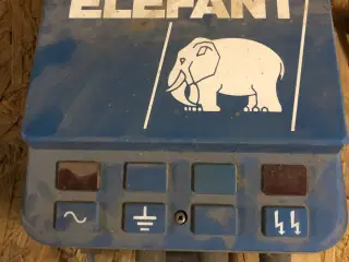Elefant elhegn