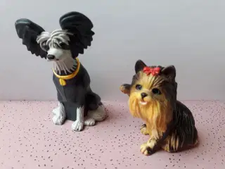 5 Hunde og 1 Kanin 