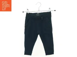 Bukser fra H&M (str. 74 cm)