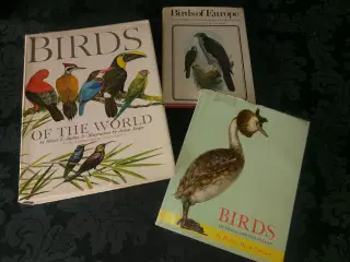 Tre flotte fuglebøger