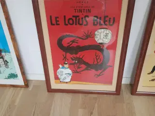 Tintin plakater originale indrammede