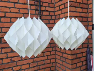 Velholdte og smukke hvide Butterfly 