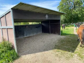 Læskur til f.eks. islandsheste