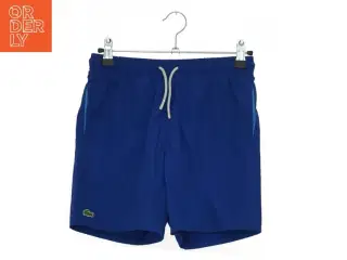Lacoste shorts / badebukser / badeshorts (str. 140 cm)