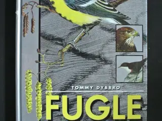 fugle i farver, af tommy dybbro. ill. af karl aage