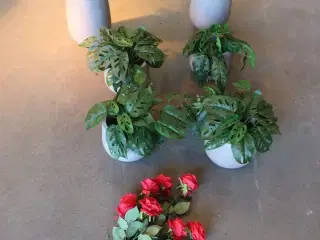 6 stk. kunstige stueplanter i hvide krukker + 7 stk. kunstige rosenstilke