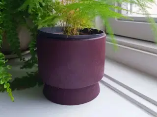 Potteskjuler fra Rosendahl 