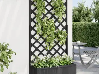 Plantekasse med espalier massivt grantræ sort