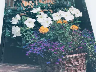 Alt om stueplanter 