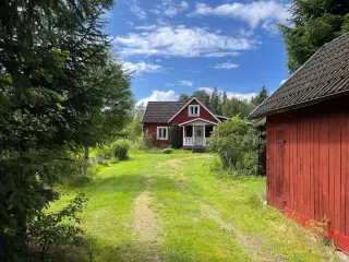 Svensk Torp / Ødegård