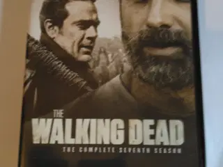 Flot DVD. The Walking dead – horror. Sæt med 6 DVD