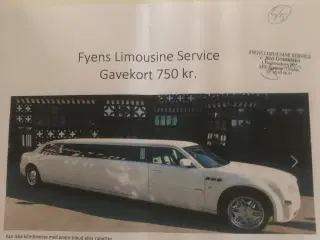 Limousine kørsel