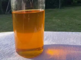 Koldpresset Lindolie
