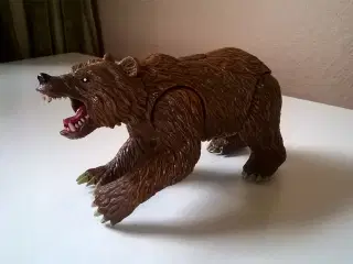 Grizzly bjørn - Chap Mei