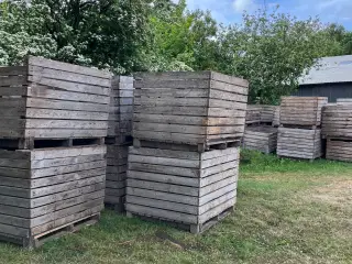 Kartoffelkasser
