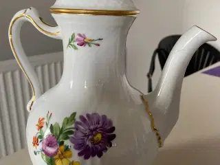 Kaffekande (Saksisk blomst)