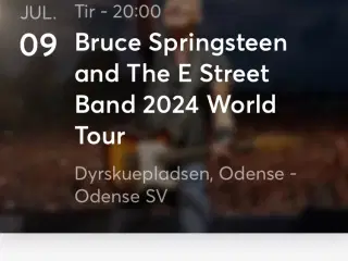 Bruce Springsteen koncert. 