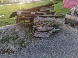 Blandet Løvtræ op til ca. Ø20 cm.