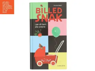 Billedsnak af Pernille Westh (Bog)