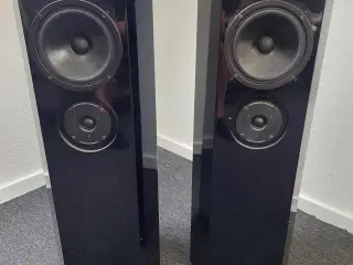 Højtaler audiovector