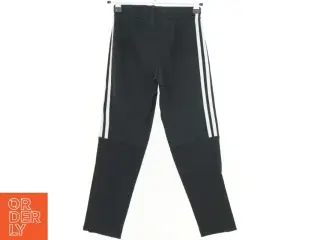 Adidas sweatpants (str. 122 cm)