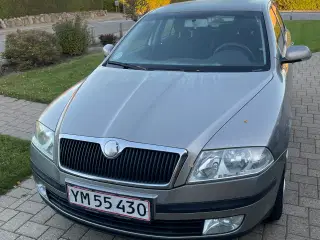 Fin og velholdt Skoda Octavia