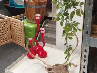 Hay sofabord 