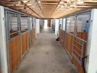 HESTEBOKSE -  TILBUD - 4 m front+ 4 m side