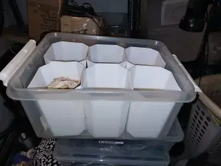 Plastikkasse med 6 beholdere.Egnet til Skorpioner