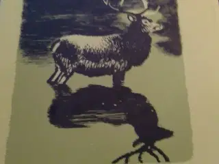 Hans Hvass: Dyrene derude. Chr. Erichsens Forlag.