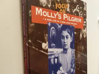 Focus on Molly's pilgrim : a new life in a new lan