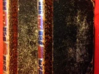 H. F. Ewald: Svenskerne på Kronborg