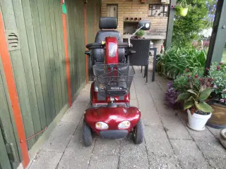 El Scooter
