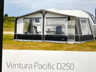 Isabelle ventura D250