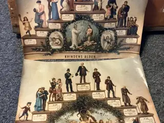 Kvindens og mandens alder 