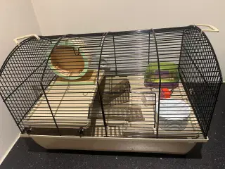 Hamster bur