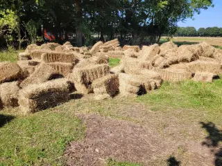 Hø I Morten Korch små baller